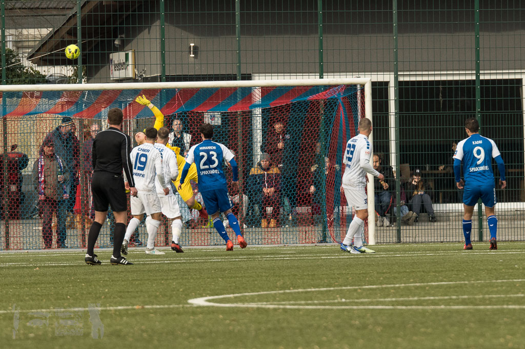 OL17-18_20180217_103_SCWestfaliaHerne_-_TSG_Rueck_IMGP9193.jpg