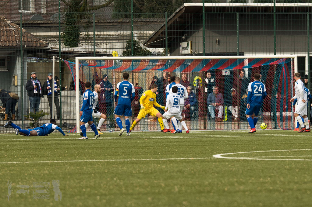 OL17-18_20180217_110_SCWestfaliaHerne_-_TSG_Rueck_IMGP9242.jpg