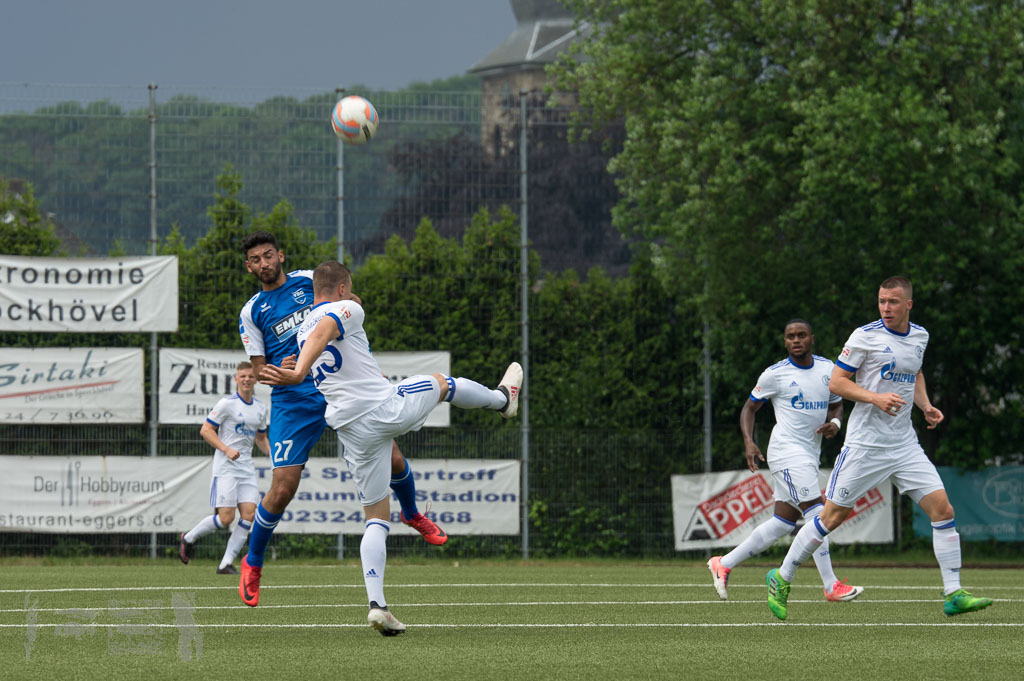 OL17-18_20180527_036_TSG_-_FCSchalke04U23_Rueck_IMGP4986.jpg