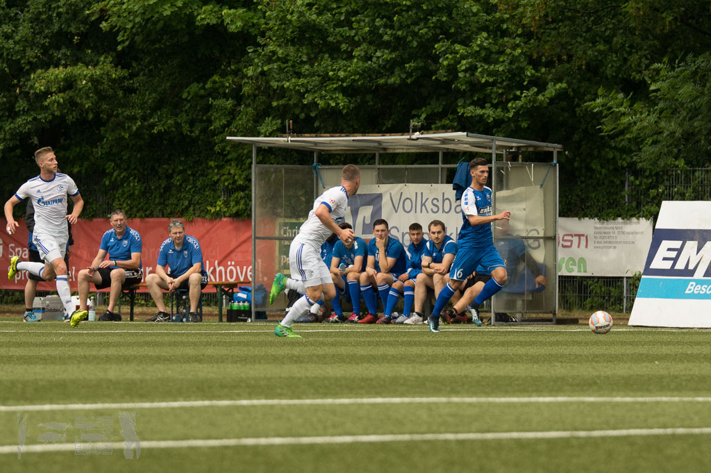 OL17-18_20180527_049_TSG_-_FCSchalke04U23_Rueck_IMGP5029.jpg