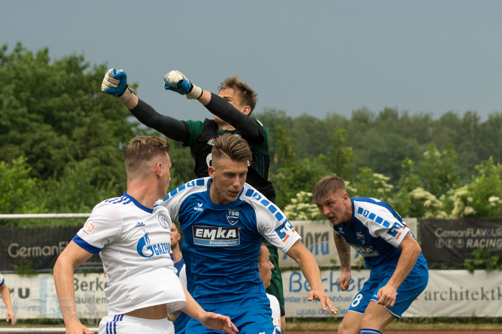 OL17-18_20180527_095_TSG_-_FCSchalke04U23_Rueck_IMGP5155.jpg