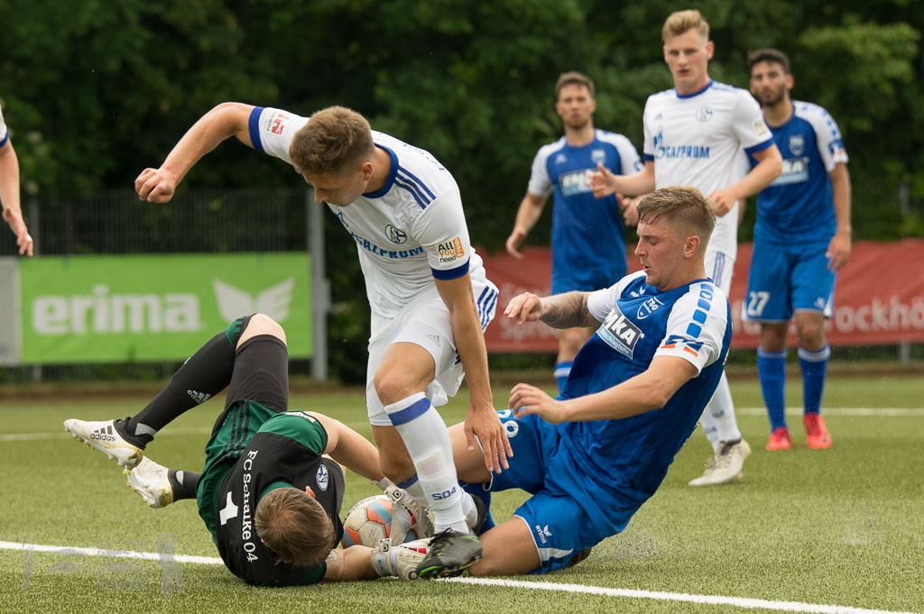 OL17-18_20180527_152_TSG_-_FCSchalke04U23_Rueck_IMGP5389.jpg