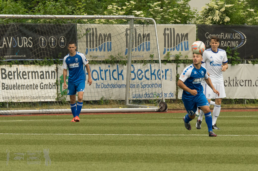 OL17-18_20180527_204_TSG_-_FCSchalke04U23_Rueck_IMGP5626.jpg