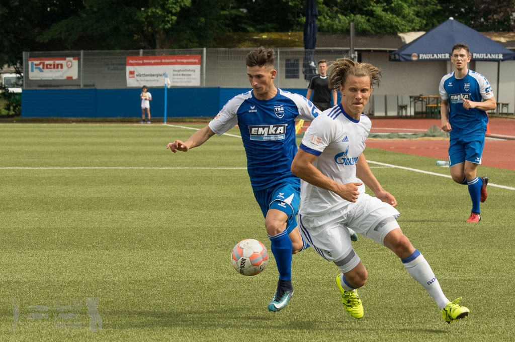 OL17-18_20180527_225_TSG_-_FCSchalke04U23_Rueck_IMGP5681.jpg