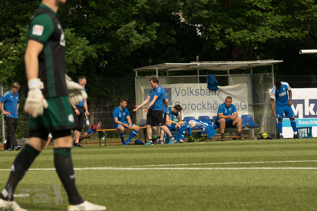 OL17-18_20180527_239_TSG_-_FCSchalke04U23_Rueck_IMGP5741.jpg