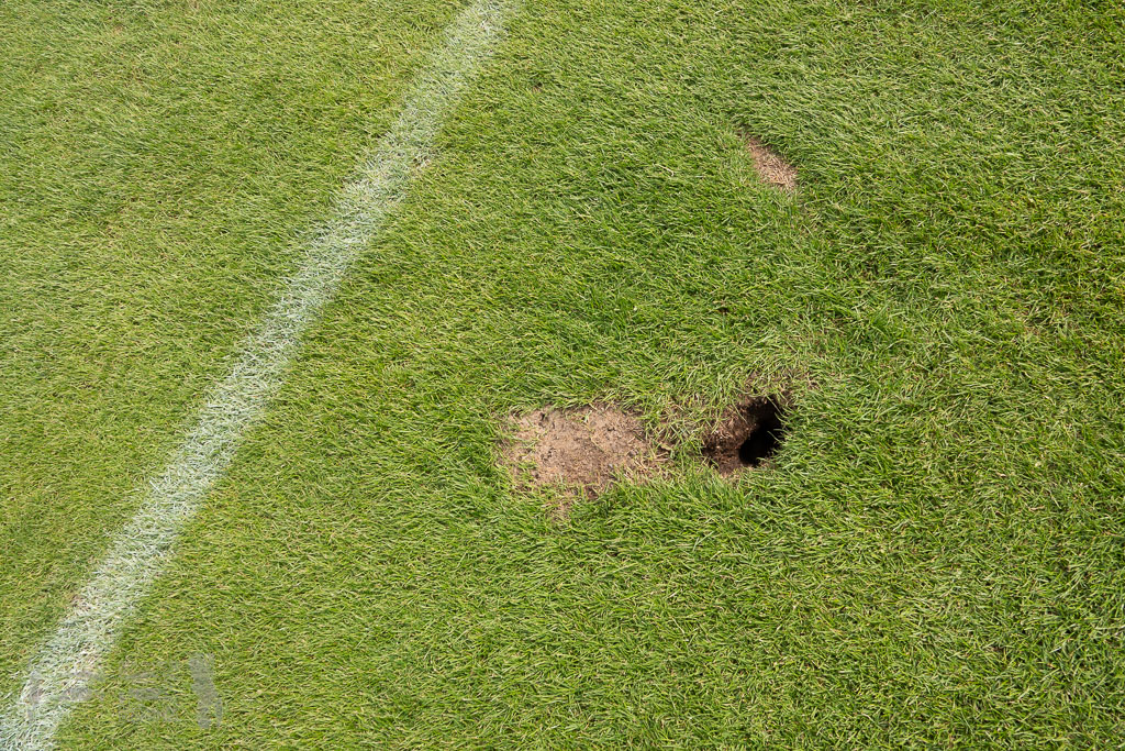 OL18-19_20190505_001_FCGievenbeck_-_TSG_Rueck__DSC0242.jpg