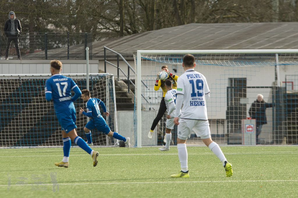 OL18-19_20190317_081_SCWestfaliaHerne_-_TSG_Rueck_IMGP8089.jpg