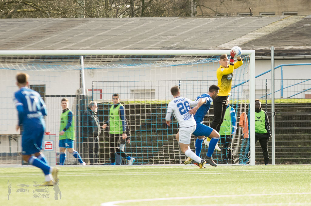 OL18-19_20190317_092_SCWestfaliaHerne_-_TSG_Rueck_IMGP8177.jpg