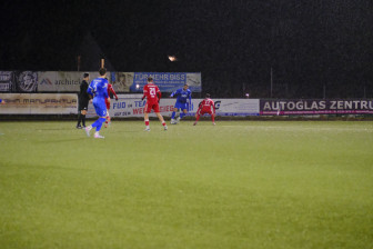 Standard-Caption hier