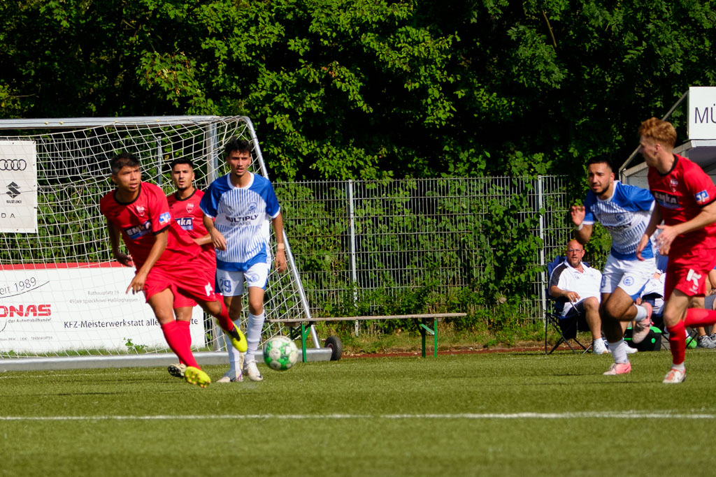 Westfalenliga Gr. 2 Saison 2024/25 Hinrunde