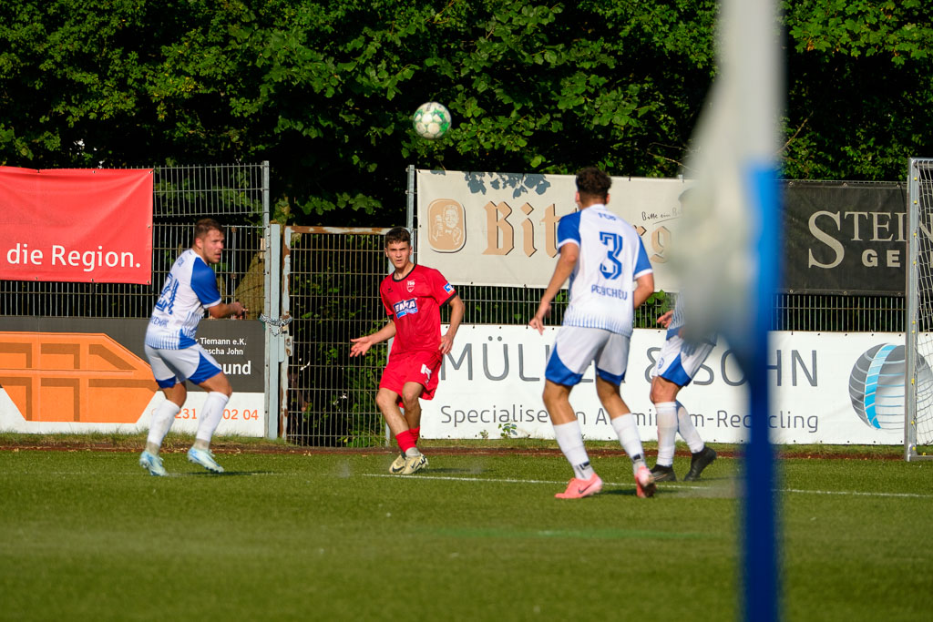 Westfalenliga Gr. 2 Saison 2024/25 Hinrunde