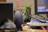 _DSF1252.JPG
