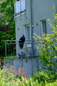DSCF3277.jpg