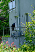 DSCF3278.jpg