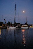 DSCF3377.jpg