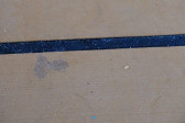 DSCF3418.jpg
