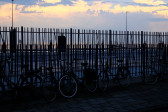 DSCF3436.jpg