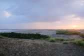 DSCF3446.jpg