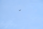 DSCF3454.jpg
