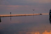 DSCF3464.jpg