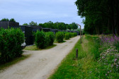 DSCF3709.jpg