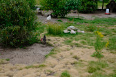 DSCF3710.jpg