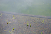 DSCF3711.jpg
