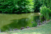 DSCF3712.jpg