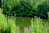 DSCF3713.jpg