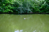DSCF3714.jpg