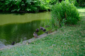 DSCF3715.jpg