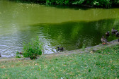 DSCF3716.jpg