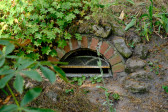 DSCF3719.jpg