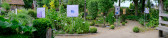 DSCF3721.jpg