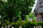 DSCF3724.jpg