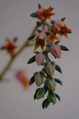DSCF5889.jpg