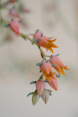 DSCF5891.jpg