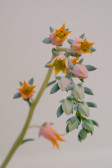 DSCF5892.jpg