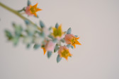 DSCF5895.jpg