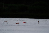 DSCF6040.jpg