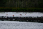 DSCF6041.jpg