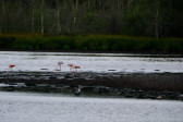 DSCF6042.jpg