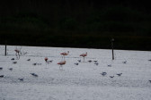 DSCF6045.jpg