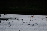 DSCF6046.jpg