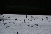 DSCF6047.jpg