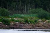 DSCF6048.jpg