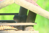 DSCF6122.jpg