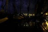 _DSF3694.jpg